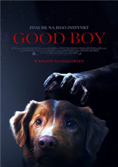 Good Boy 2D napisy